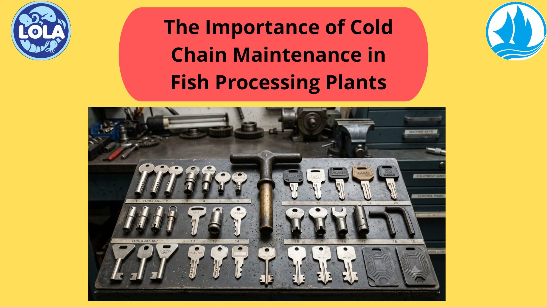 The Importance of Cold Chain Maintenance in Fish Processing Plants